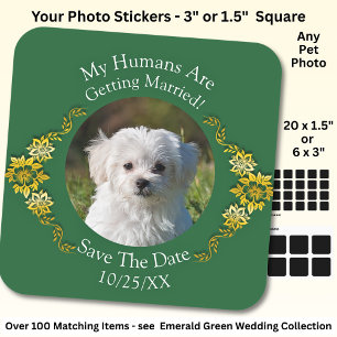 Your Pet Photo, Save The Date, Emerald Green Square Sticker