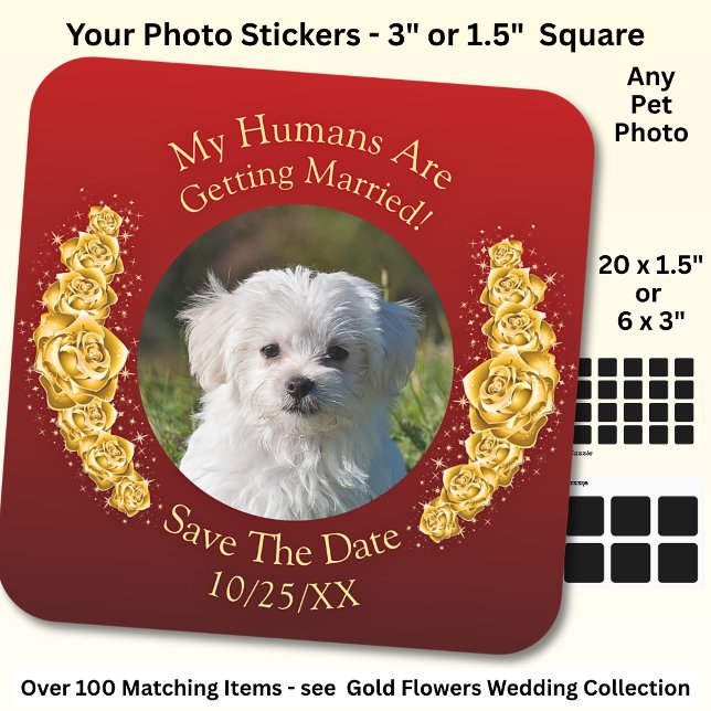 Your Pet Photo, Save The Date, Gold Flowers Maroon Square Sticker (Creator Uploaded)