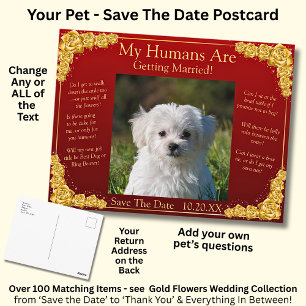 Your Pet Photo Save The Date Gold Roses Maroon Red Postcard