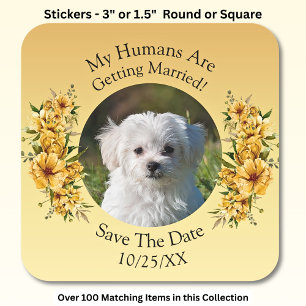 Your Pet Photo, Save The Date, Golden Yellow Flora Square Sticker