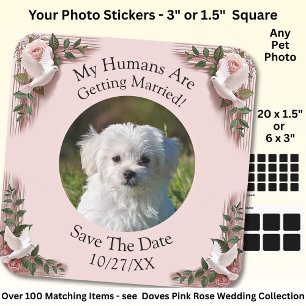 Your Pet Photo, Save The Date, Pink Roses & Doves Square Sticker