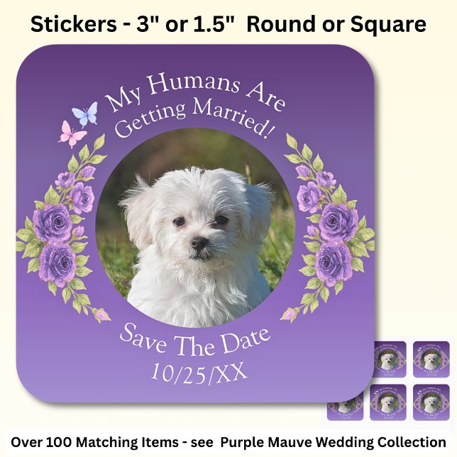 Your Pet Photo, Save The Date, Purple Mauve Flower Square Sticker (Creator Uploaded)