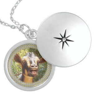 Your Pet Photo Sterling Silver Lockets Necklace