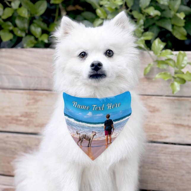 Your Pet Photo with Custom Text Pet Bandana Collar (Dog)