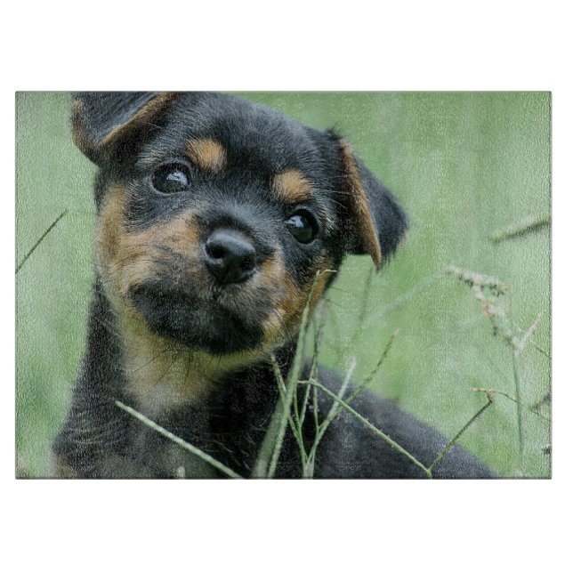 Your Pet Picture Personalize Glass Cutting Board (Front)