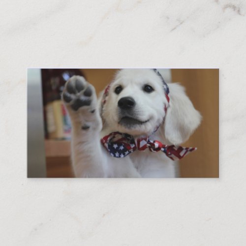 Your Pet Related Business card