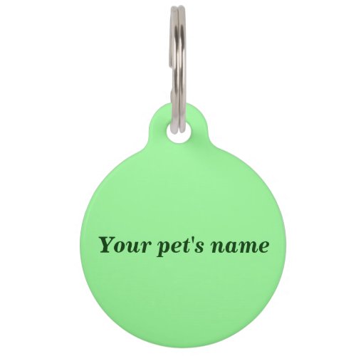 Your Pets Name on Light Green Round Shape Pet Tag
