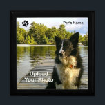 Your Pet Treasure Keeper Box<br><div class="desc">Go Wild~ The passing of a pet is the hardest part of sharing our lives with one. This keepsake box provides a special place for an ID tag, a clipping of fur and other precious mementos. Personalize this special box with your beloved pet's name, with no extra fee. This box...</div>