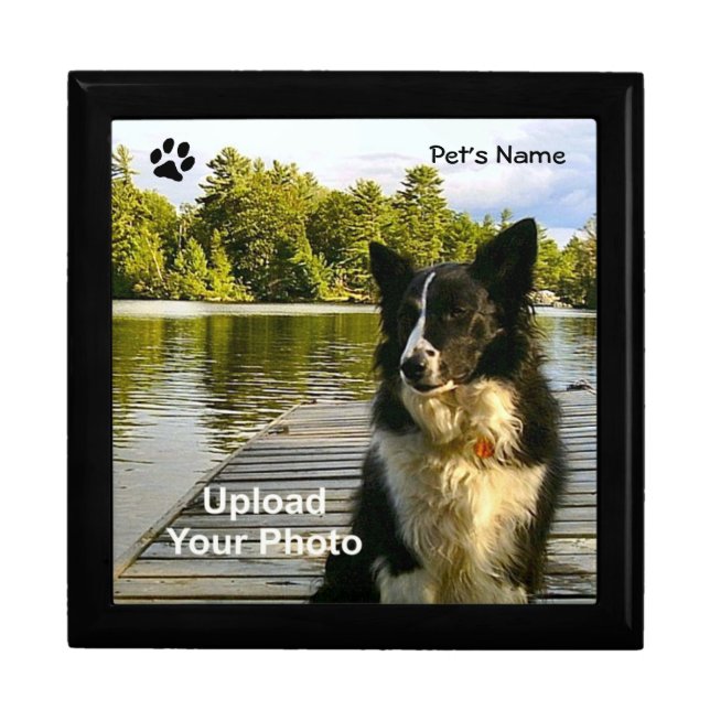 Your Pet Treasure Keeper Box (Front)