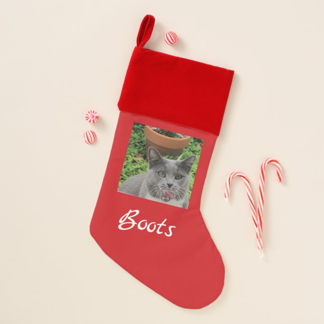 Your pets Christmas Stocking (Front)
