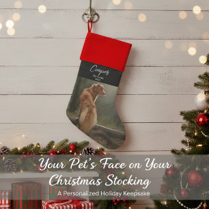 Your Pet's Face  Christmas Stocking