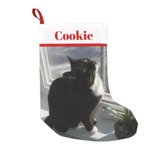 Your Pets Photo Christmas Stocking with Name