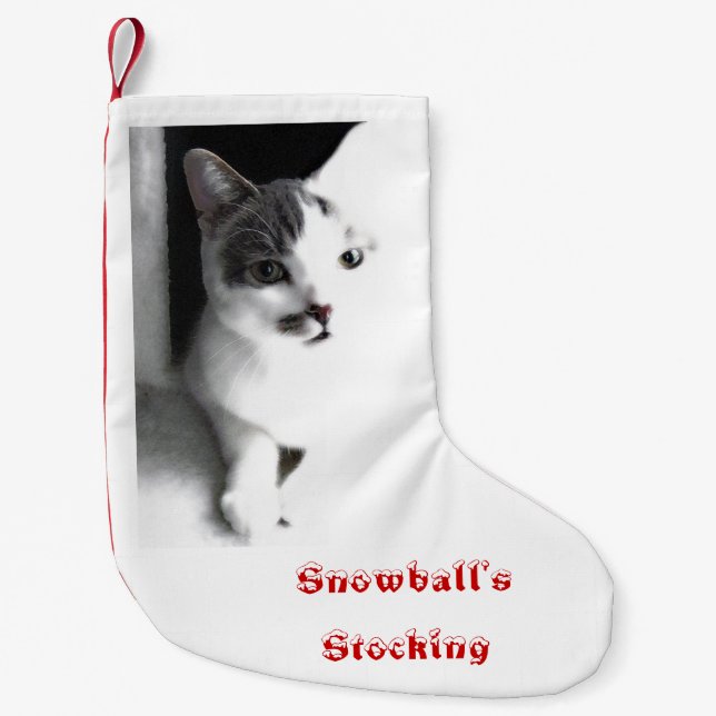 Your Pet's Photo Christmas Stocking with Name (Front)
