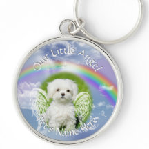 Your Pet's Photo Memorial Rainbow Angel