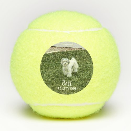 Your Pets Photo Personalized With Text Tennis Balls