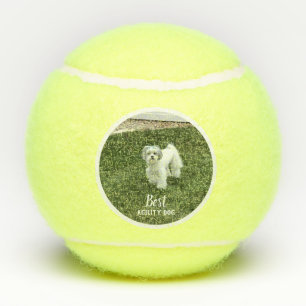 Your Pet's Photo Personalized With Text Tennis Balls