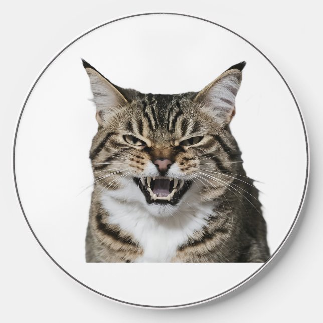 Your pet's photo  wireless charger  (Front)
