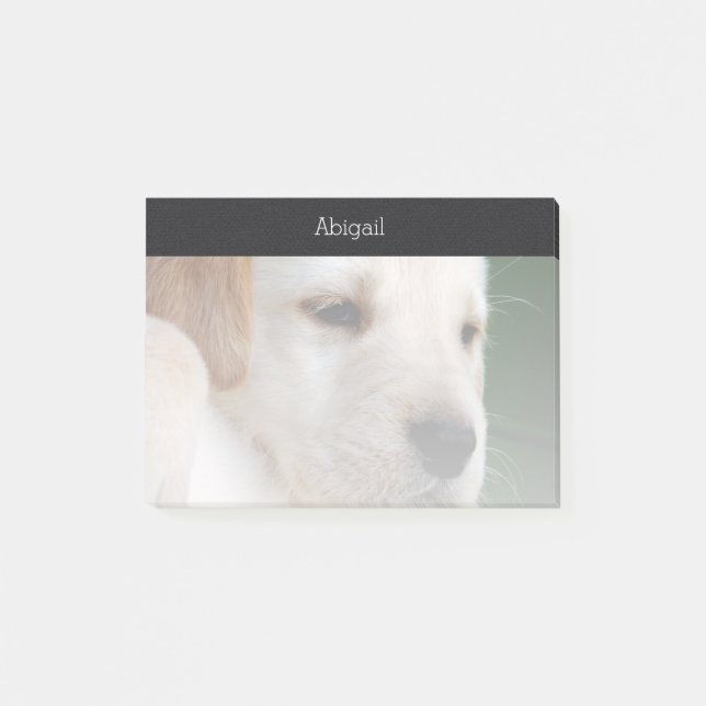 Your Photo Automatically Gradually Fades Post-it Notes (Front)