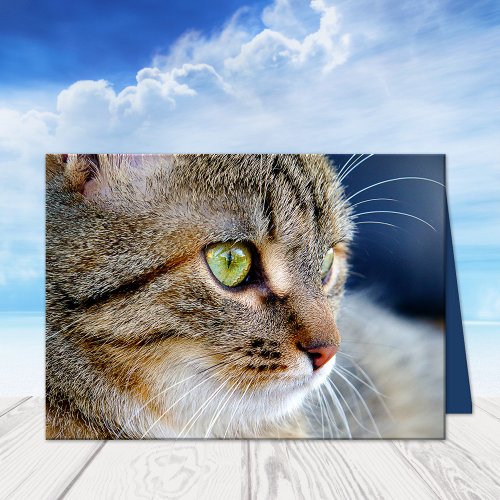 Your Photo Cat Condolences Sympathy Greeting Card