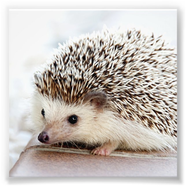 Your Photo Custom Fit Print (Front)