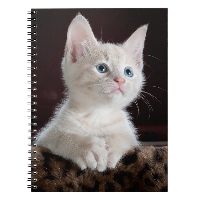 Your Photo Custom Notebook (Front)