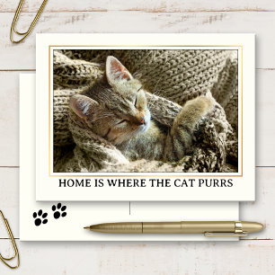 Your Photo Cute Kitten New Address Postcard