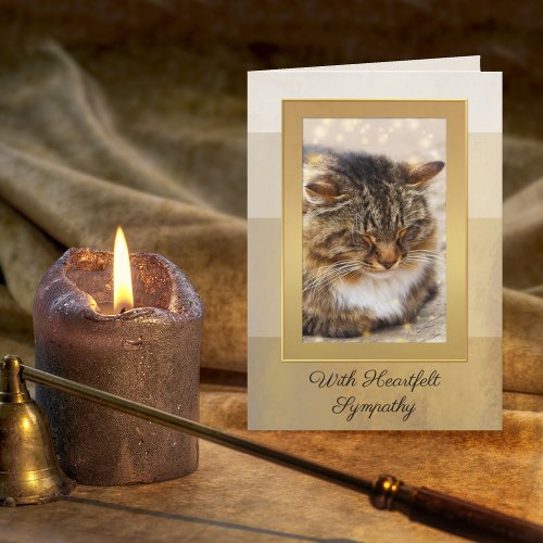 Your Photo Elegant Gold Striped Cat Sympathy Card