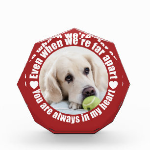 YOUR PHOTO Far Apart Love award