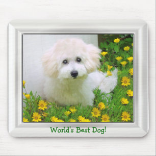 Your Photo Frame On Mousepad