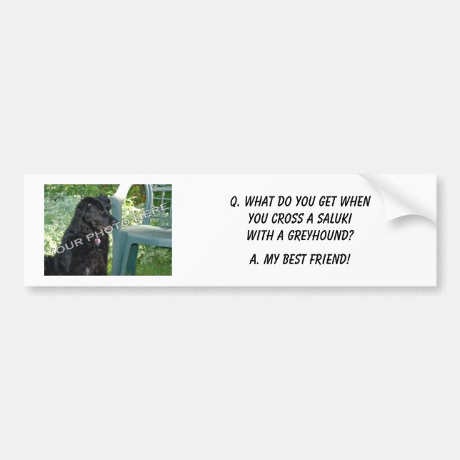 Your Photo Here! My Best Friend Saluki Mix Bumper Sticker (Front)