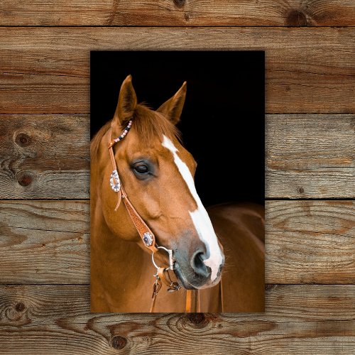 Your Photo Horse Enlargement Wall Decal