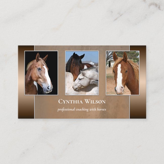 Your Photo Horse Stables or Coaching Business Card