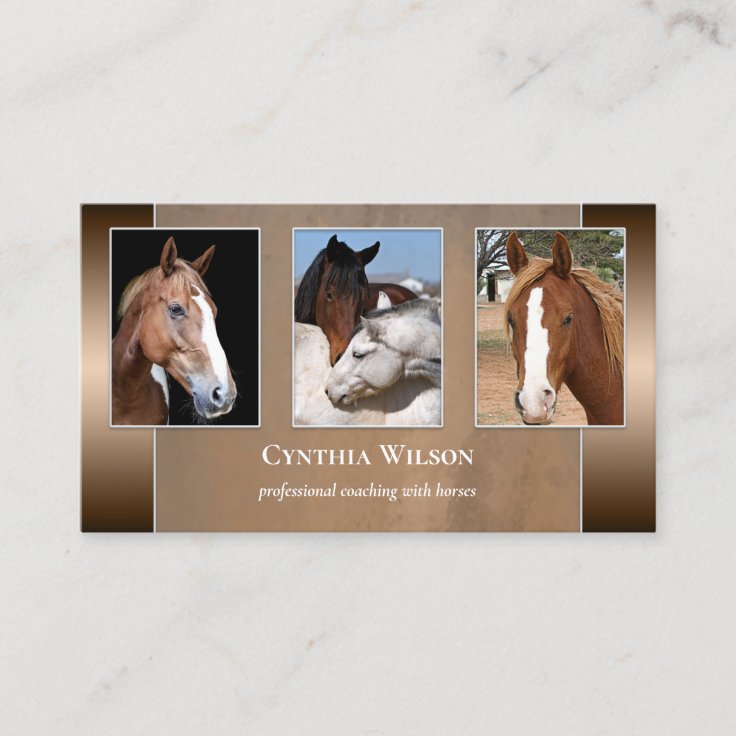 Your Photo Horse Stables or Coaching Business Card Zazzle