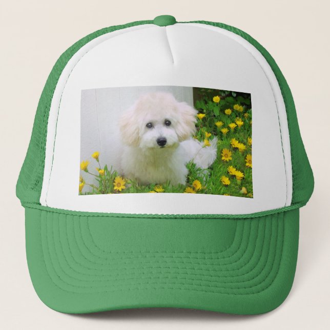 Your Photo On A Hat (Front)