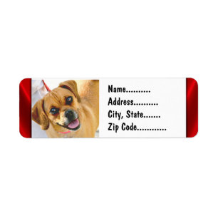 Your Photo On Custom Return Address Labels