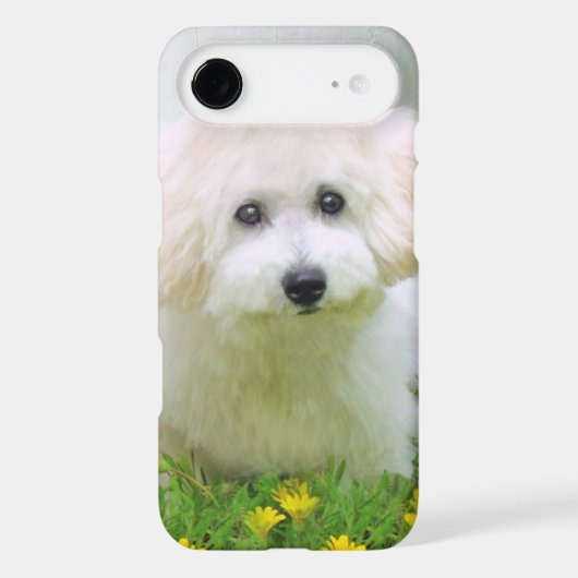 Your Photo On iPod Touch Case-Mate Case (Back)