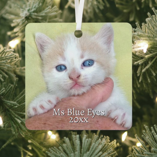 Your Photo/Text -Traditional Annual Gift & Message Metal Ornament (Insitu)