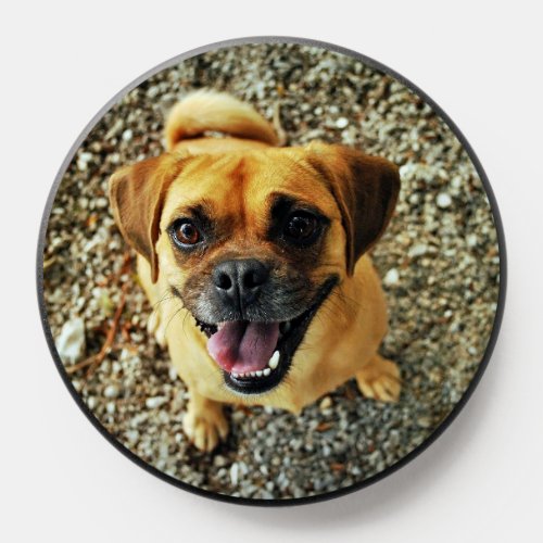 Your Precious Pet Dog Photo Upload Phone PopSocket