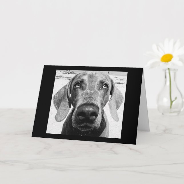 YOUR RETIRING "LUCKY DOG!" CARD (Small Plant)