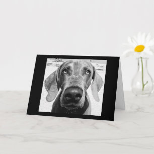 YOUR RETIRING "LUCKY DOG!" CARD