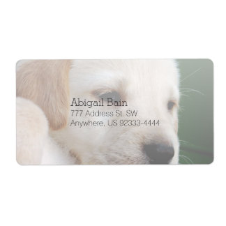 Your Square Image Replaces Yellow Lab Puppy Label