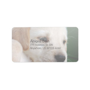 Your Square Image Replaces Yellow Lab Puppy Label