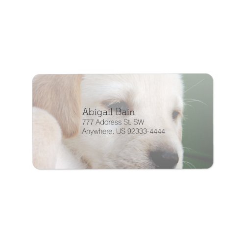 Your Square Image Replaces Yellow Lab Puppy Label