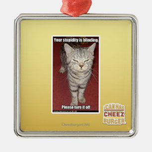 Your stupidity is blinding 2 metal ornament
