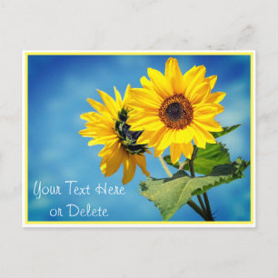 Your Text/Color Yellow Sunflowers & Blue Skies Postcard