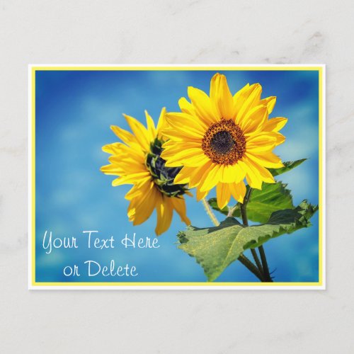 Your TextColor Yellow Sunflowers  Blue Skies Postcard
