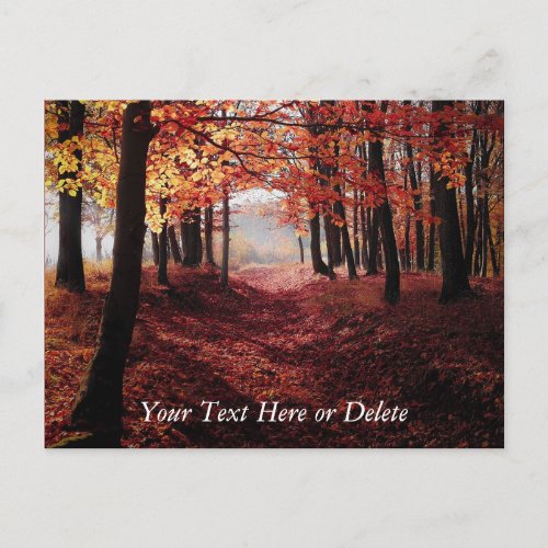 Your Text Crimson Red Autumn Leaves Forest Path Postcard