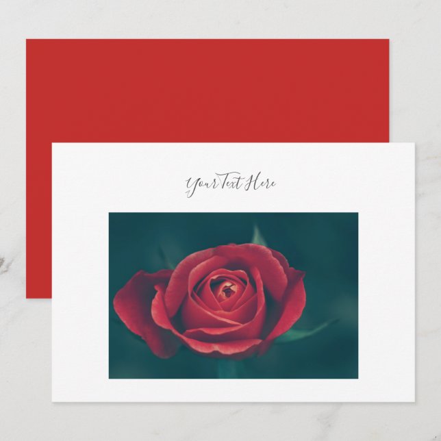 Your Text Gorgeous Red Rose Flower Invitation (Front/Back)