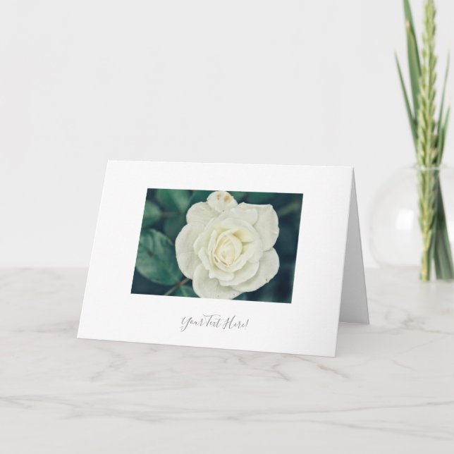 Your Text Gorgeous White Rose Flower Greeting Card (Front)