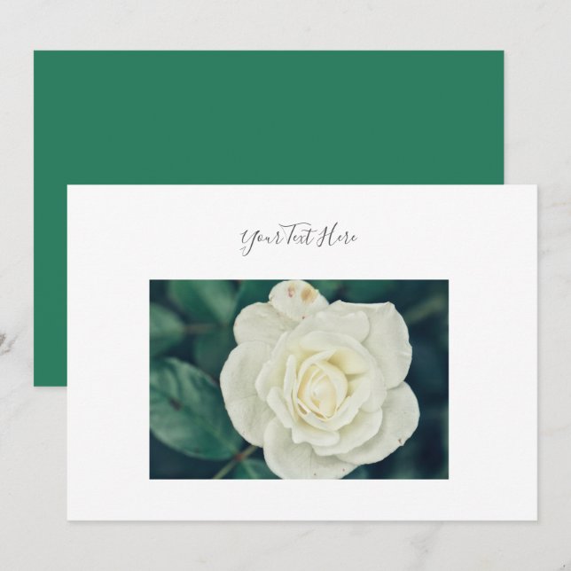 Your Text Gorgeous White Rose Flower Invitation (Front/Back)